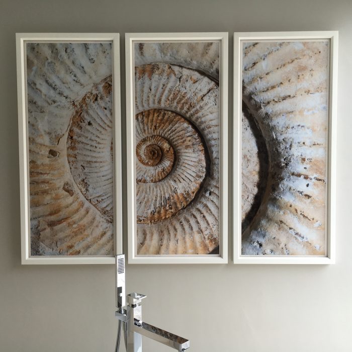 3 individual framed picture creating an image of a shell